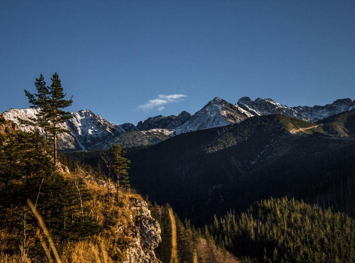 Willa Zbikowka Zakopane Eksteriør bilde